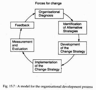 Model for the Organisational Development Process